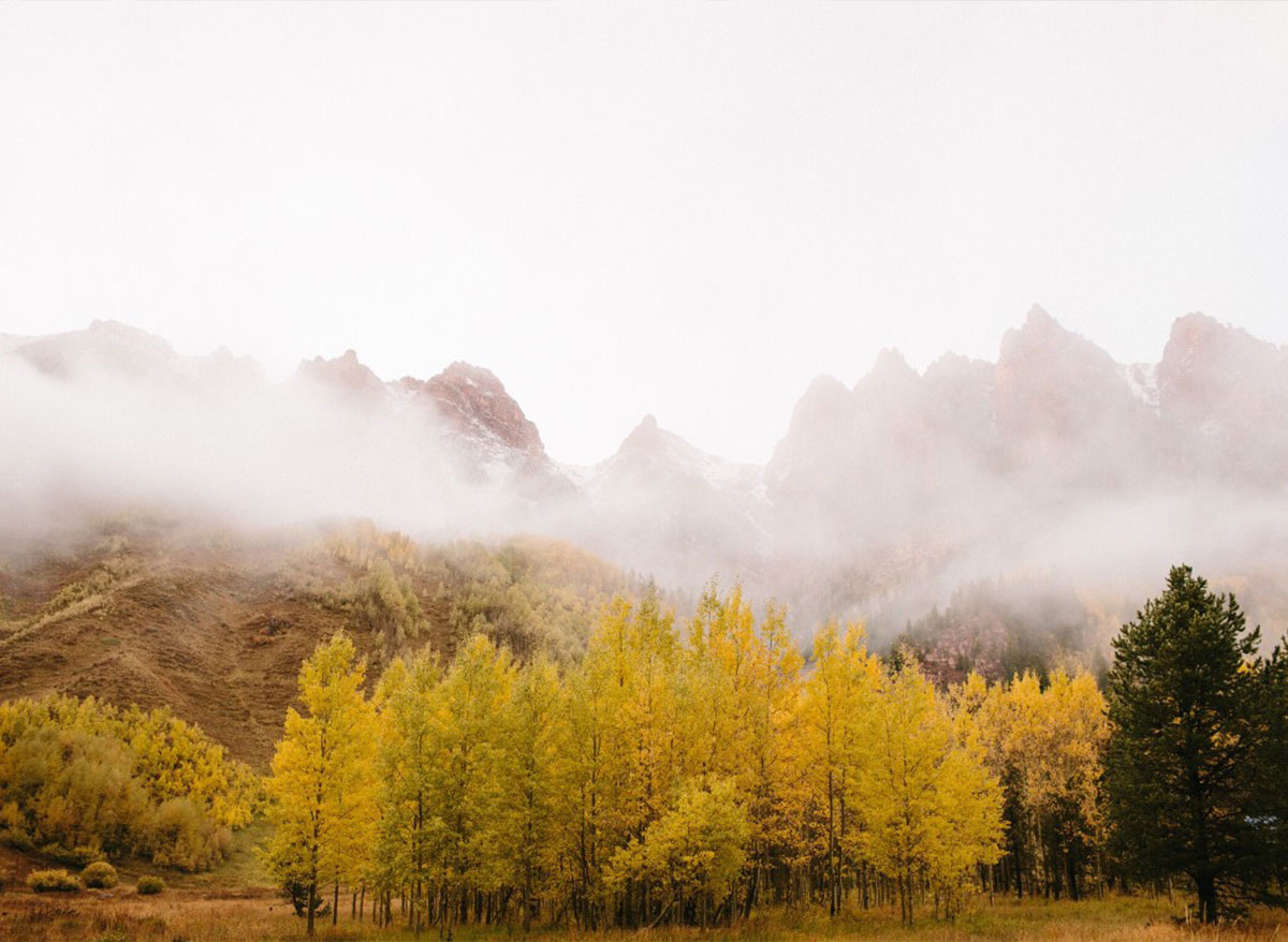 Fall-Chinese-Medicine